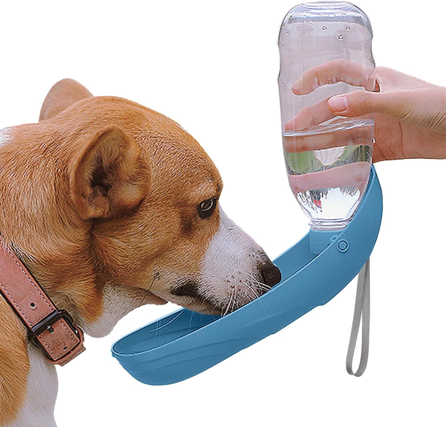 NAMSAN Bouteille d'eau pour Chien, 550ml Portable Distributeur Eau, Gourde 
