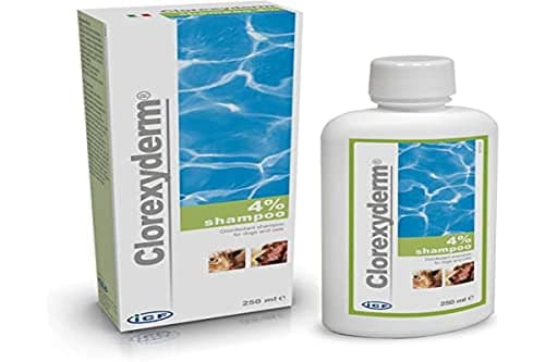 ICF | Clorexyderm 4% Shampoing Chien | Shampooing Chien Antiseptique, Hydratant